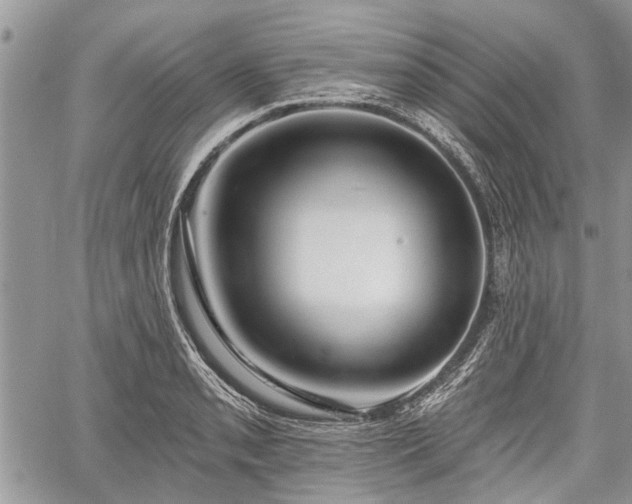 X0000059821085200510241349