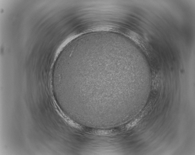 X0000059821086200510241349