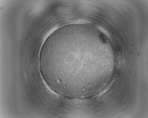 X0000059821087200510241349