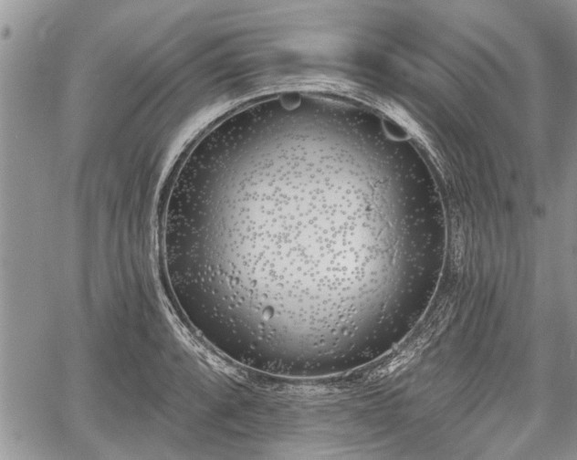 X0000059821088200510241349