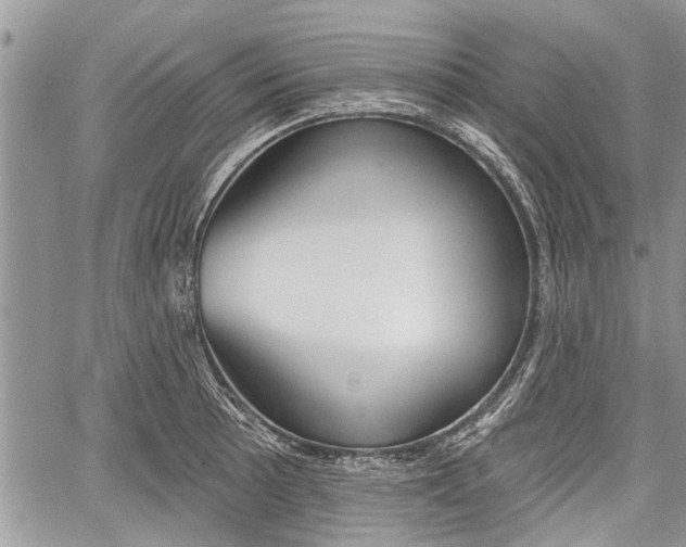 X0000059821089200510241349