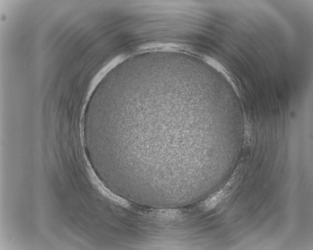 X0000059821090200510241349