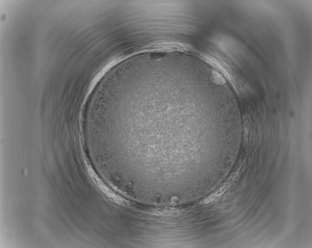 X0000059821091200510241349