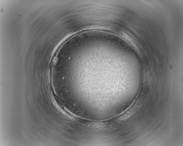 X0000059821092200510241349