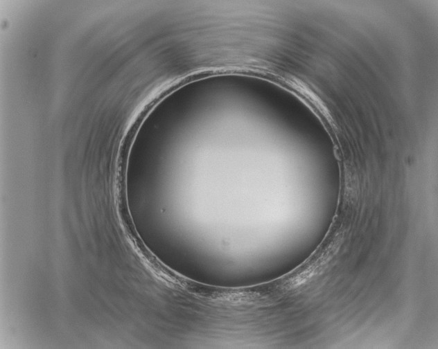 X0000059821093200510241349