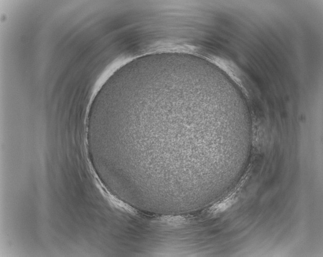 X0000059821094200510241349