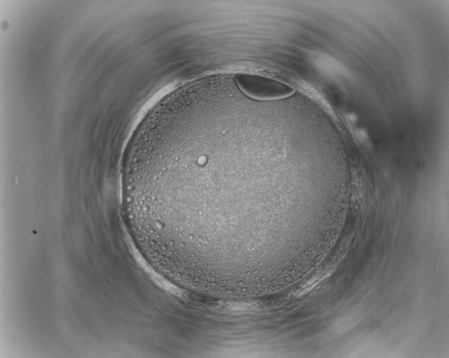 X0000059821095200510241349