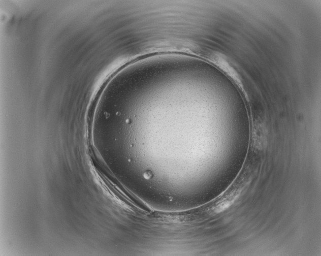 X0000059821096200510241349