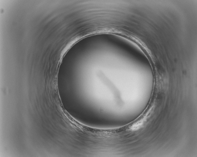 X0000059821097200510241349