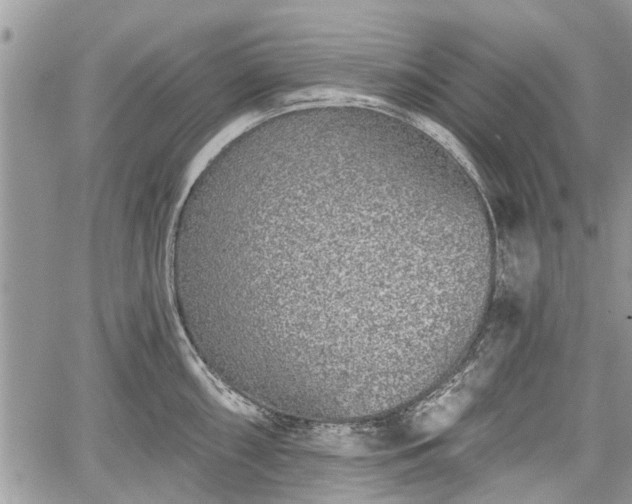 X0000059821098200510241349