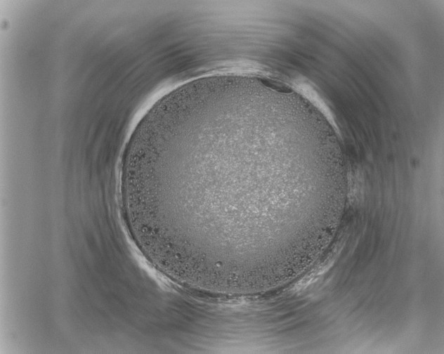 X0000059821099200510241349