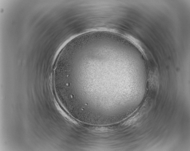 X0000059821100200510241349