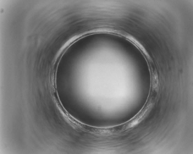 X0000059821101200510241349