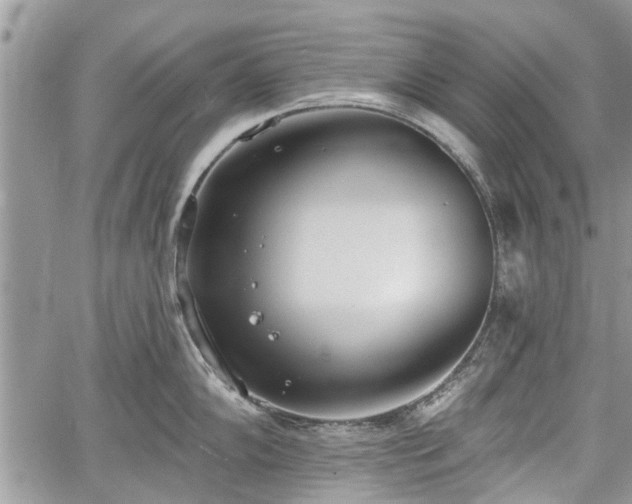 X0000059821102200510241349