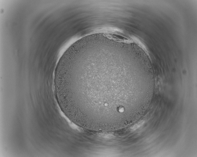 X0000059821103200510241349