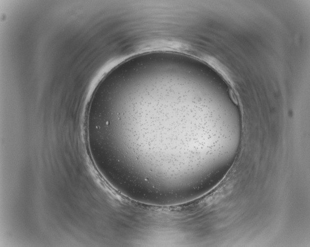 X0000059821104200510241349