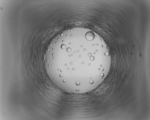 X0000059821105200510241348