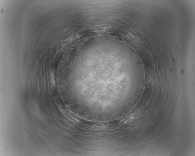 X0000059821106200510241348