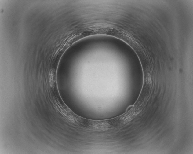 X0000059821108200510241348