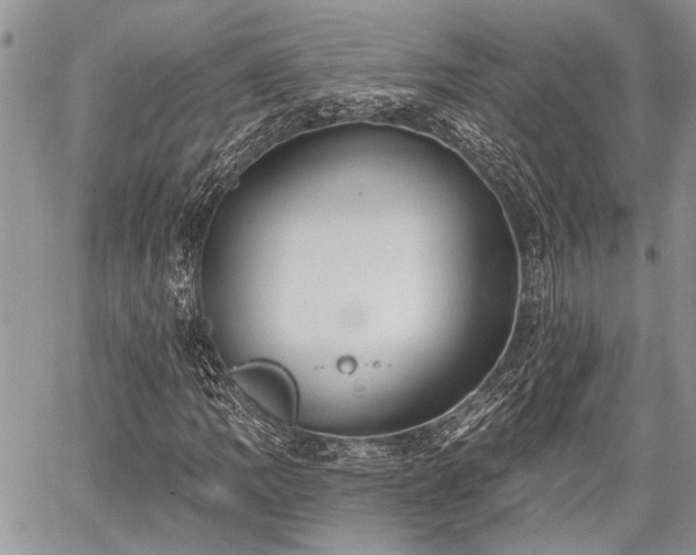 X0000059821109200510241348