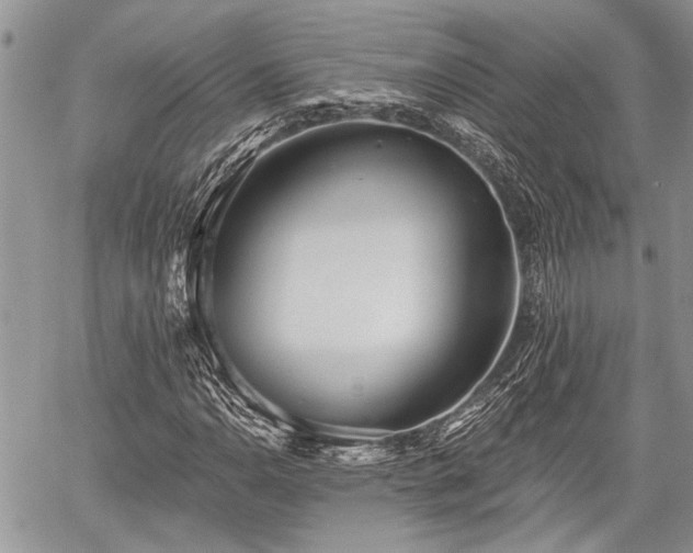 X0000059821110200510241348