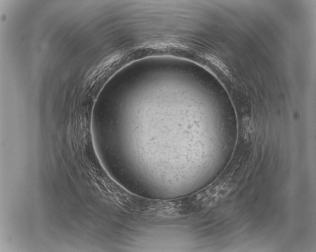 X0000059821111200510241348