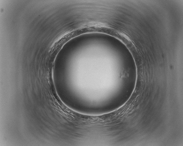 X0000059821112200510241348