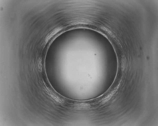 X0000059821113200510241348