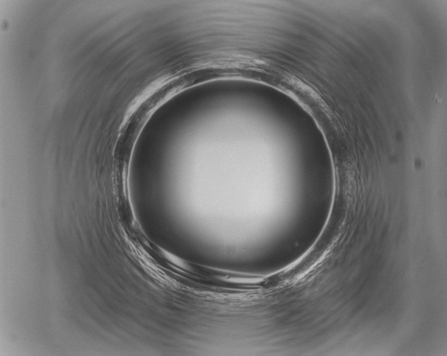 X0000059821114200510241348