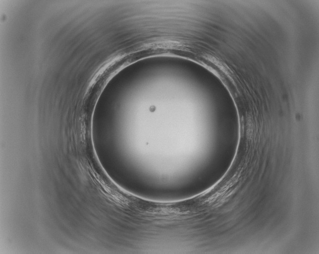 X0000059821115200510241348