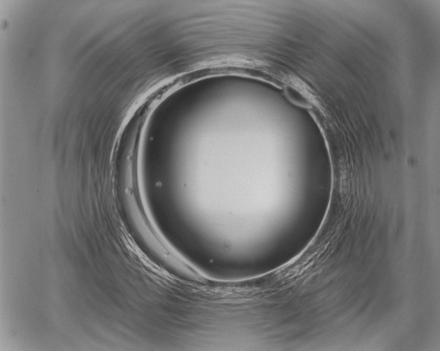 X0000059821116200510241348