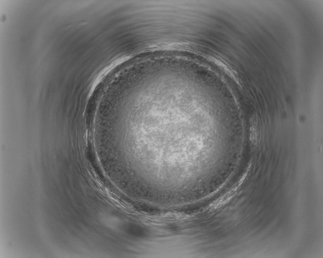 X0000059821117200510241348