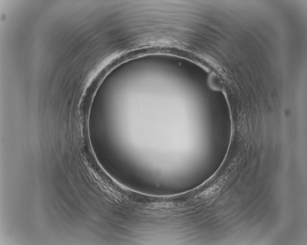 X0000059821118200510241348