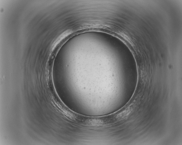 X0000059821119200510241348