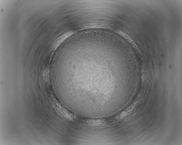 X0000059821121200510241349