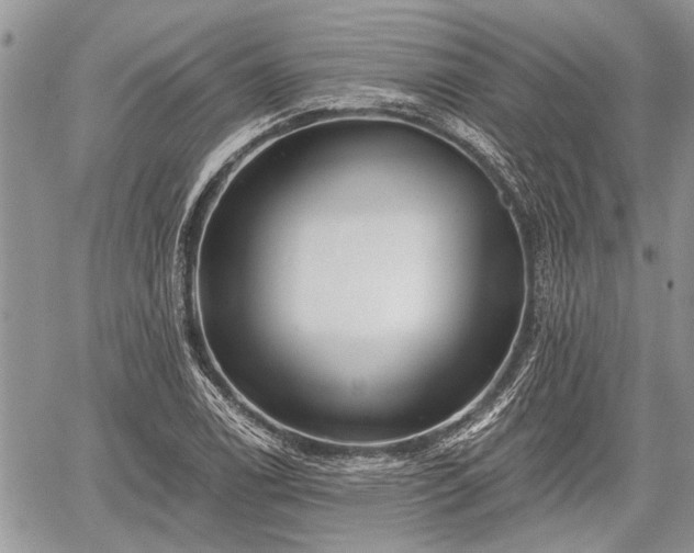 X0000059821122200510241349