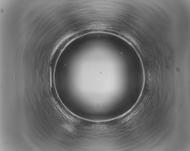 X0000059821123200510241349