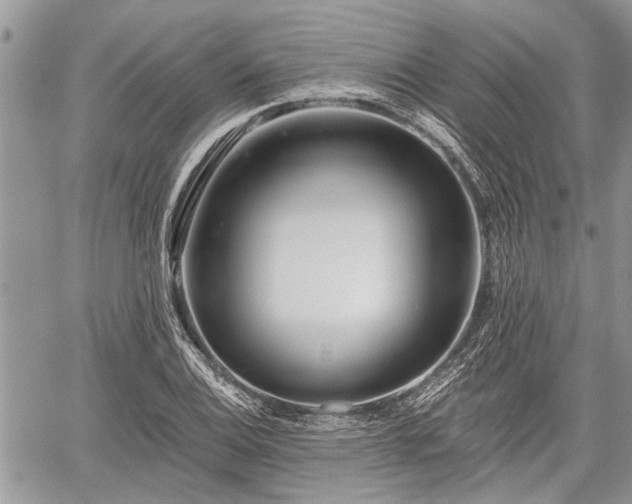 X0000059821124200510241349