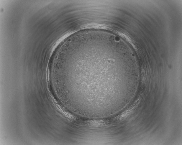 X0000059821125200510241349