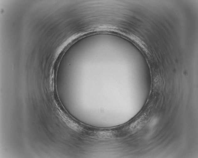 X0000059821126200510241349