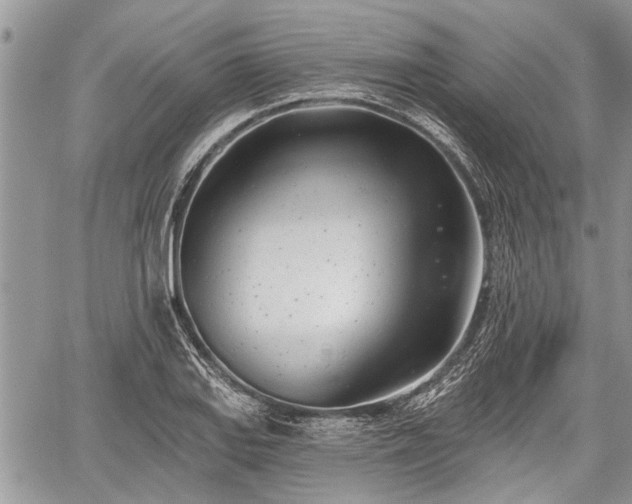 X0000059821127200510241349