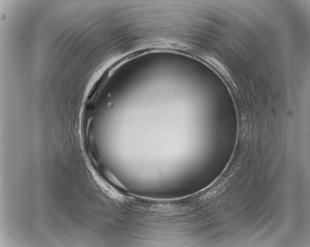 X0000059821128200510241349