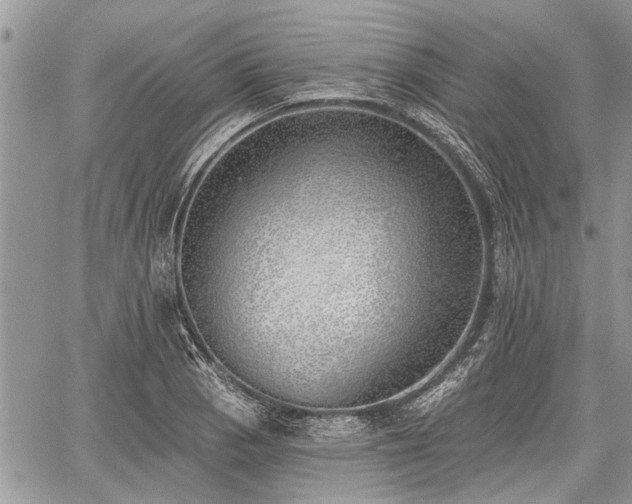 X0000059821129200510241349