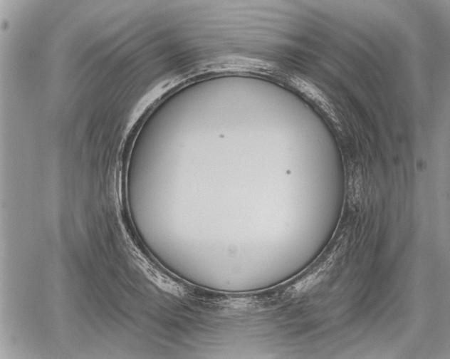 X0000059821130200510241349