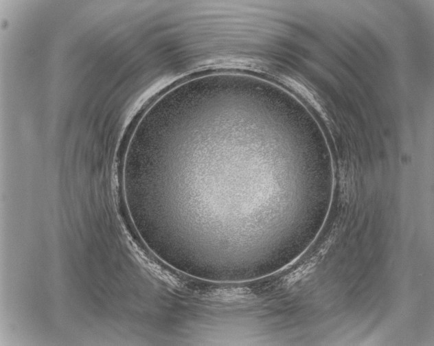 X0000059821133200510241349