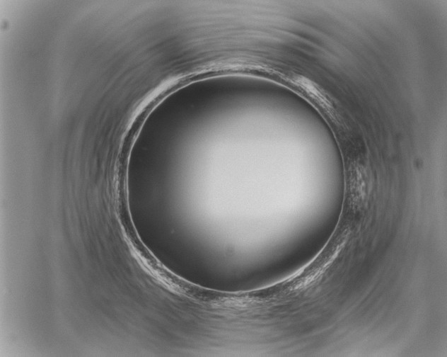 X0000059821134200510241349