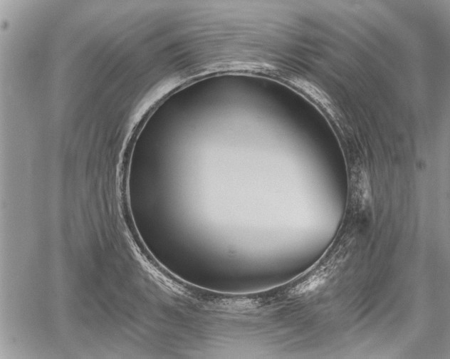 X0000059821135200510241349