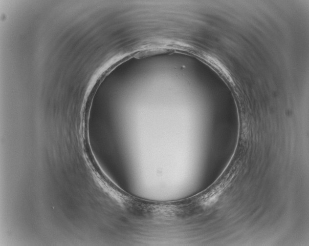 X0000059821136200510241349