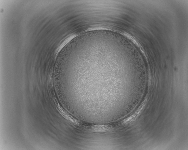 X0000059821137200510241349