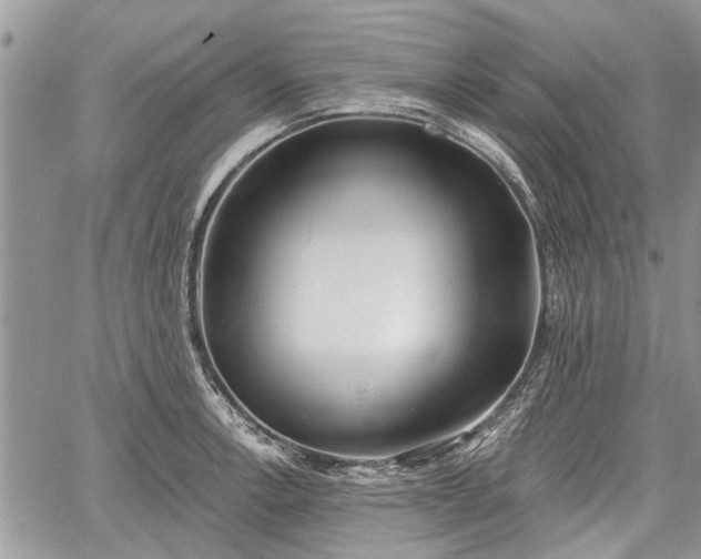 X0000059821138200510241349